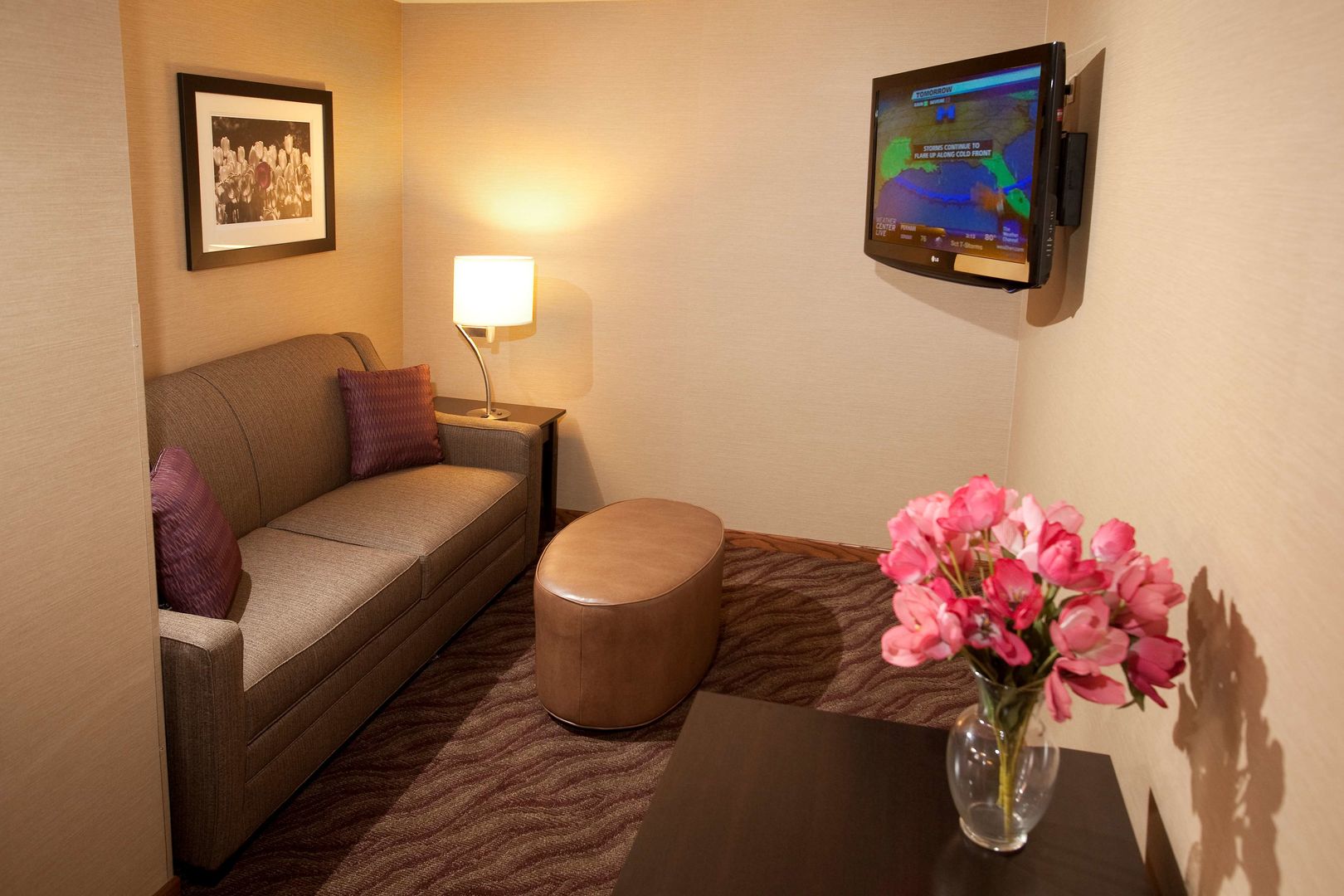 quality inn and suites