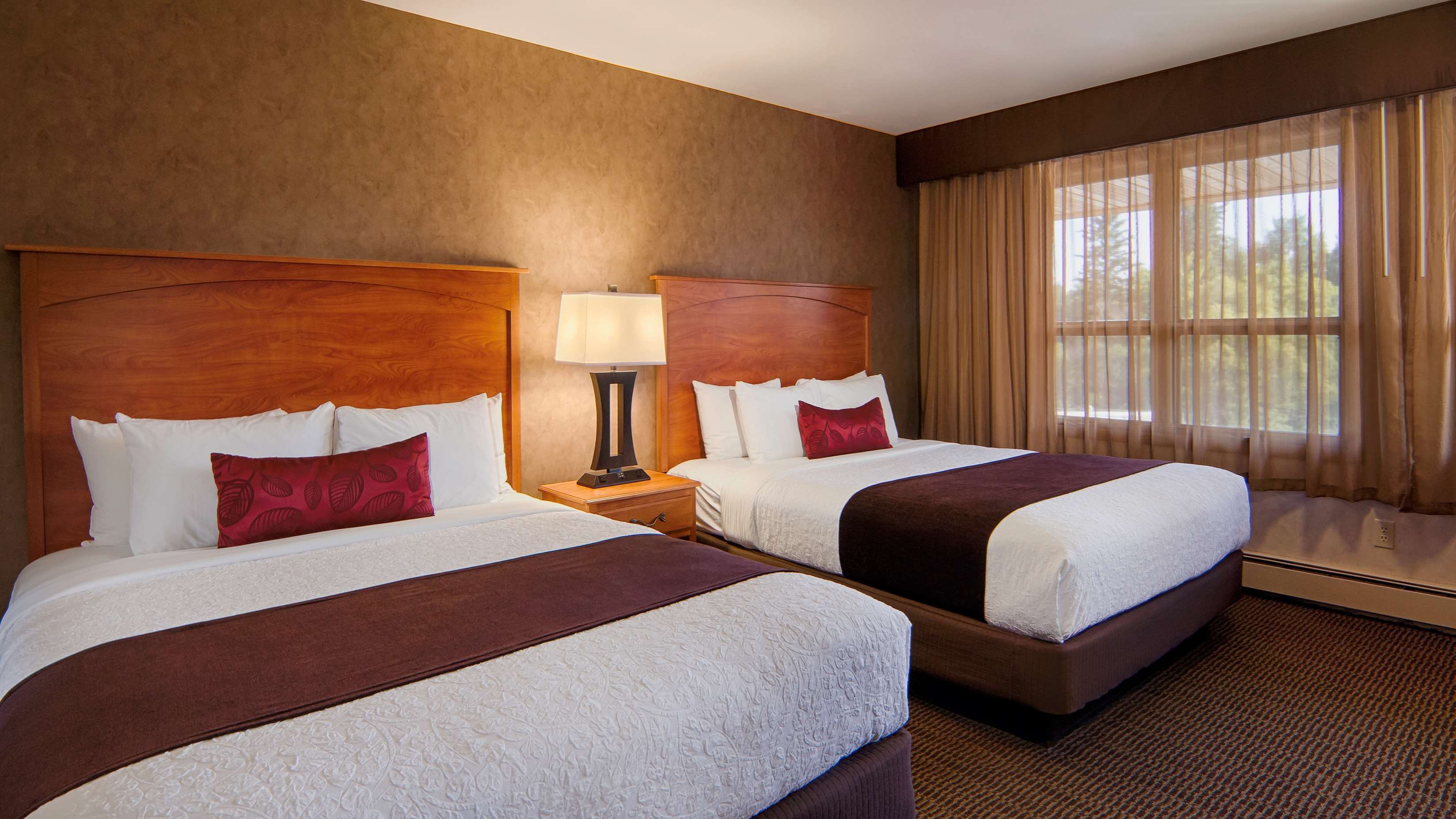 quality inn and suites