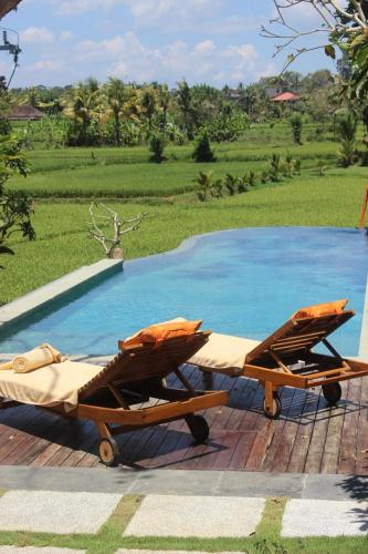 ubud padi villas