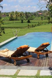 ubud padi villas