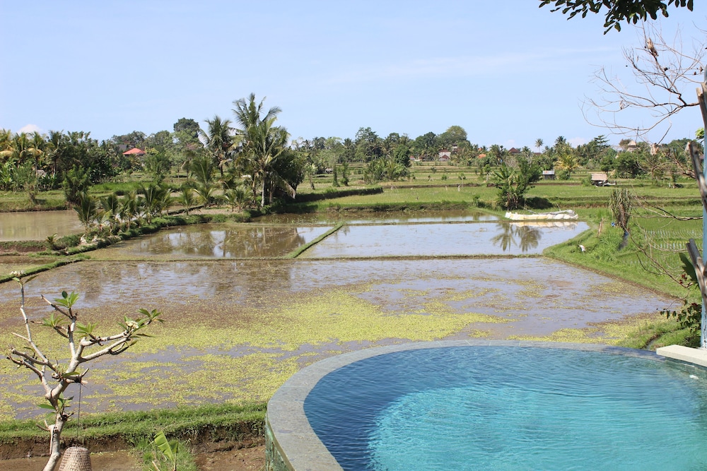 ubud padi villas