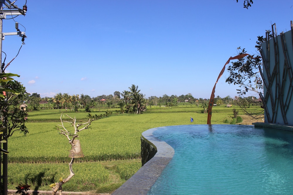 ubud padi villas