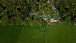 ubud padi villas