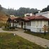 ooty