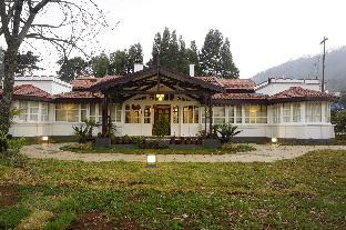 ooty