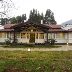 ooty