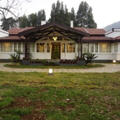 ooty