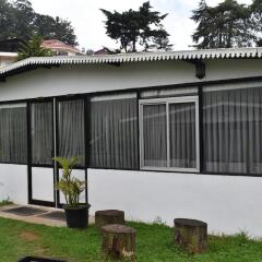 ooty