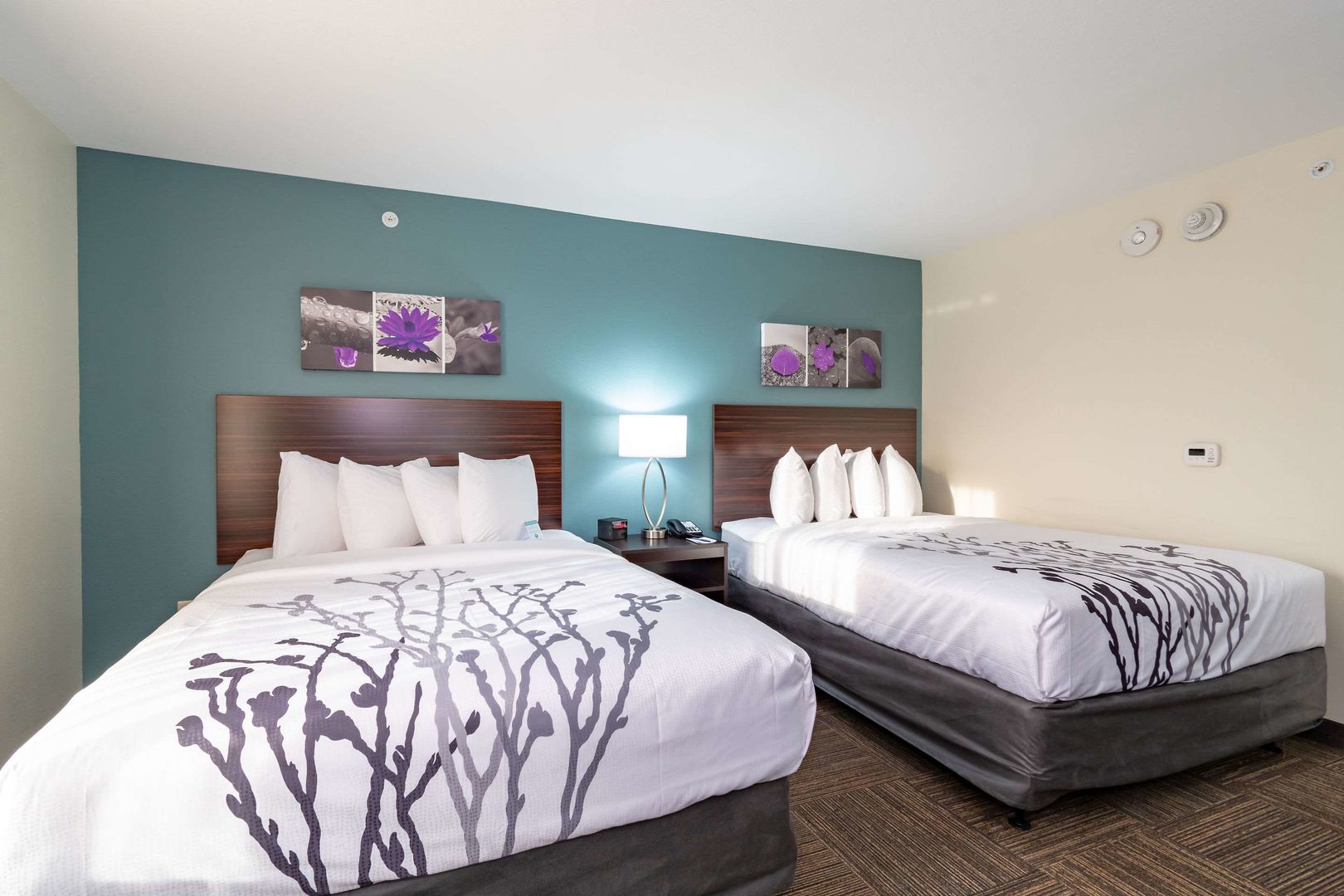 sleep inn lancaster dallas south