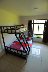 the paddy field inn hostel