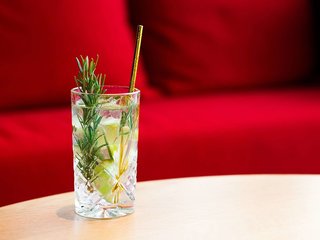 ibis tallinn center hotel