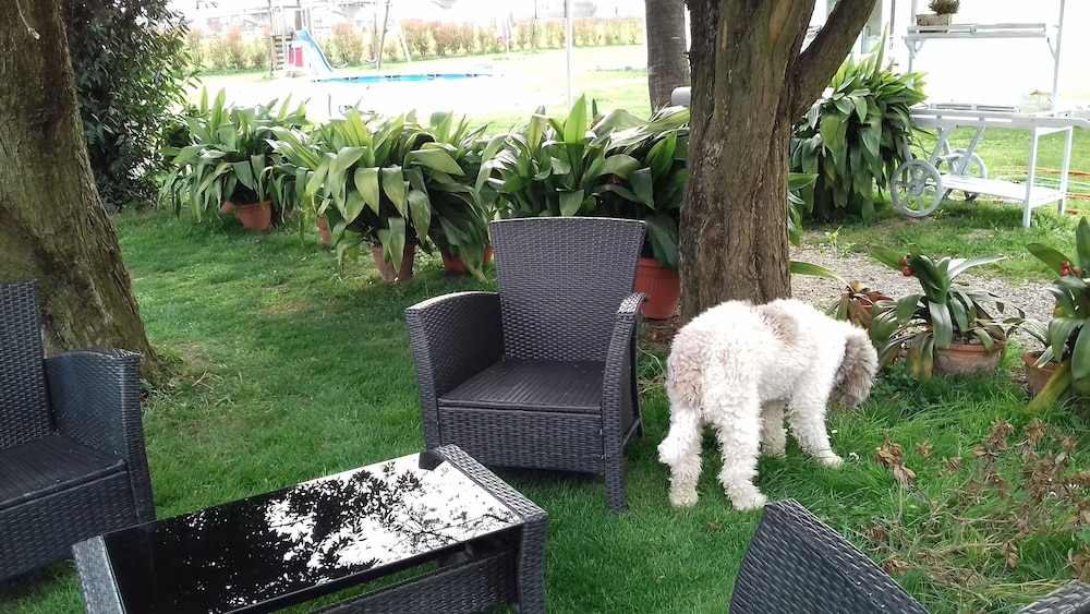 il giardino di rebecca