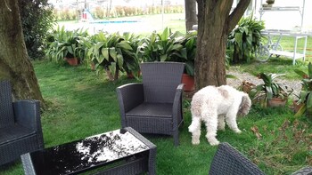 il giardino di rebecca