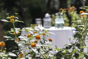 hotel grenzfall berlin