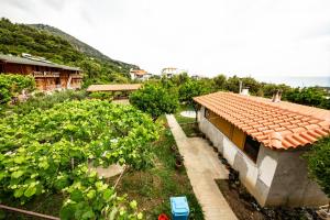 guest house luiza