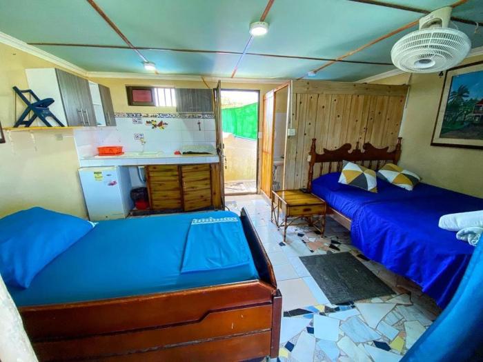 yellow moon guesthouse apartments