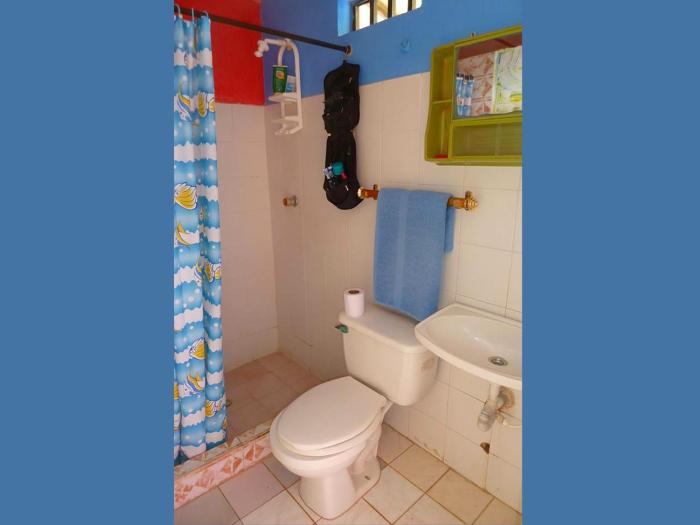 yellow moon guesthouse apartments