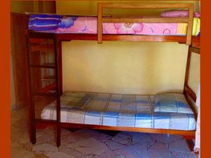 yellow moon guesthouse apartments