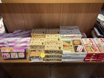pearl hotel ryogoku