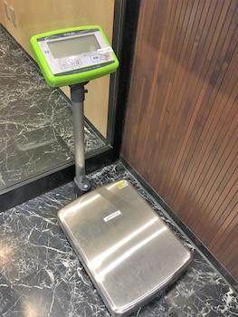 pearl hotel ryogoku