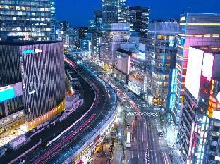 yaesu terminal hotel