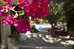 hotel esperides