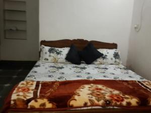singhi villa guest house