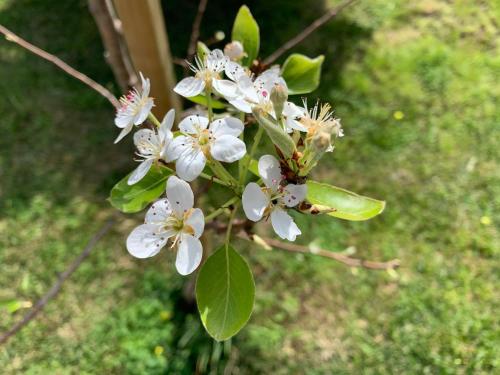 campanha boutique station