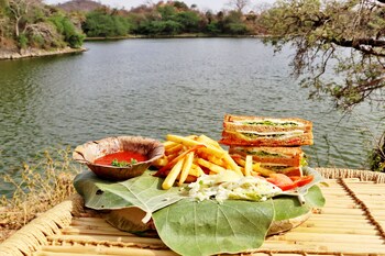 udaipur