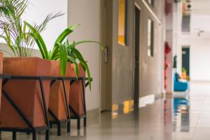 Hotel Victoria Plaza Millenium,Norte De Santander>>San José De Cúcuta,3 star