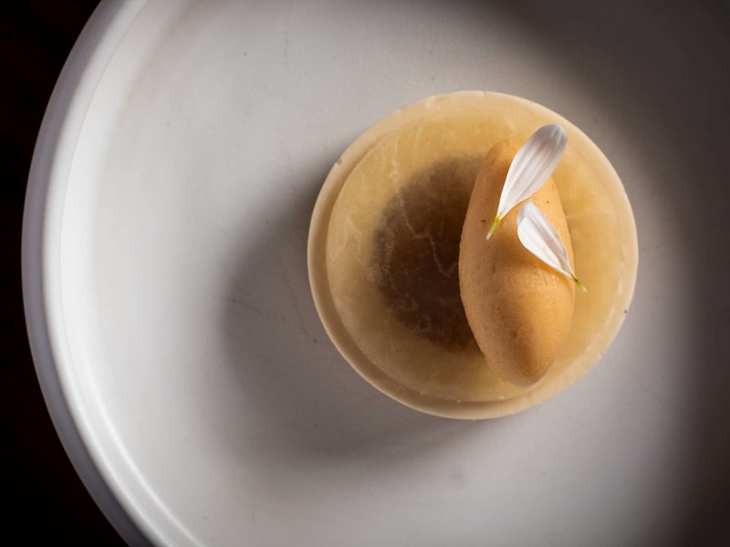 sofitel mexico city reforma