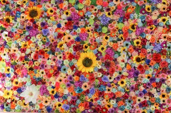 bettys boutique hotel