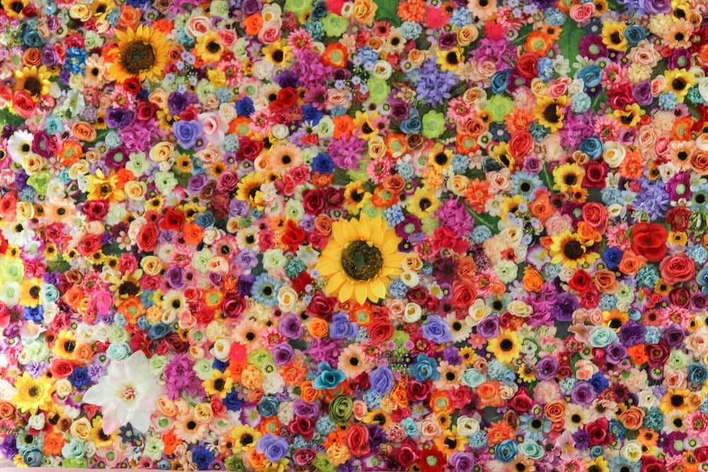 bettys boutique hotel