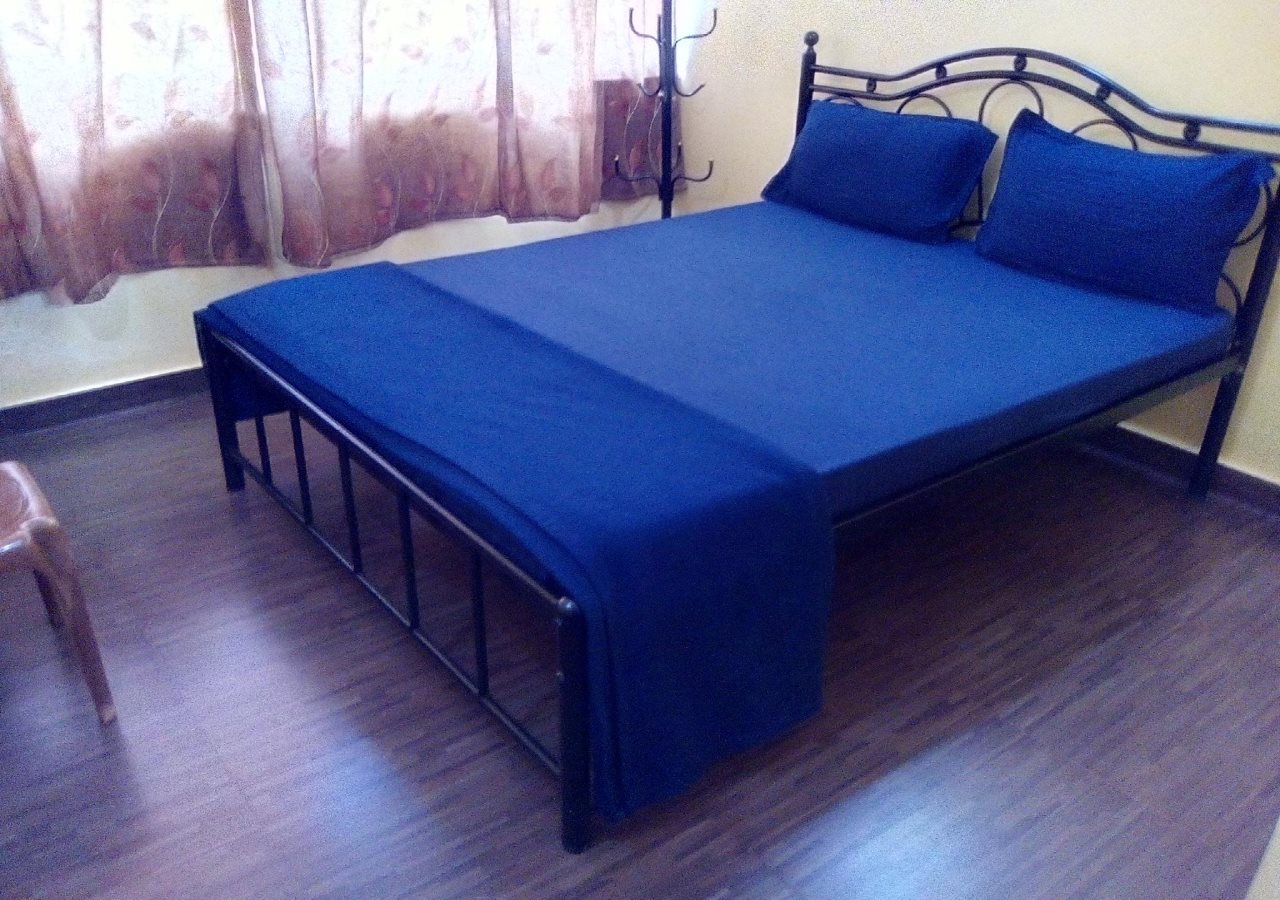 vincent guest house goa