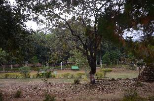 pachmarhi