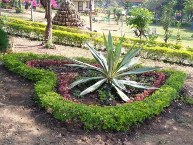 pachmarhi