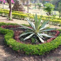 pachmarhi