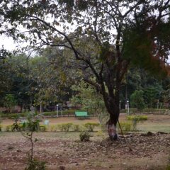 pachmarhi