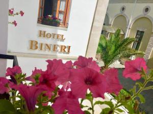 hotel bineri