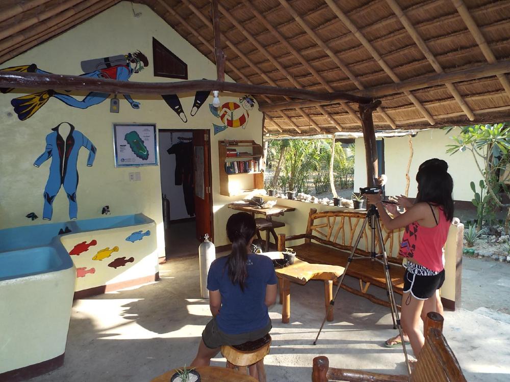 gustavs place silver beach dive resort