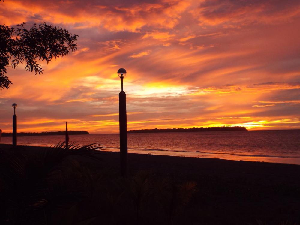 gustavs place silver beach dive resort