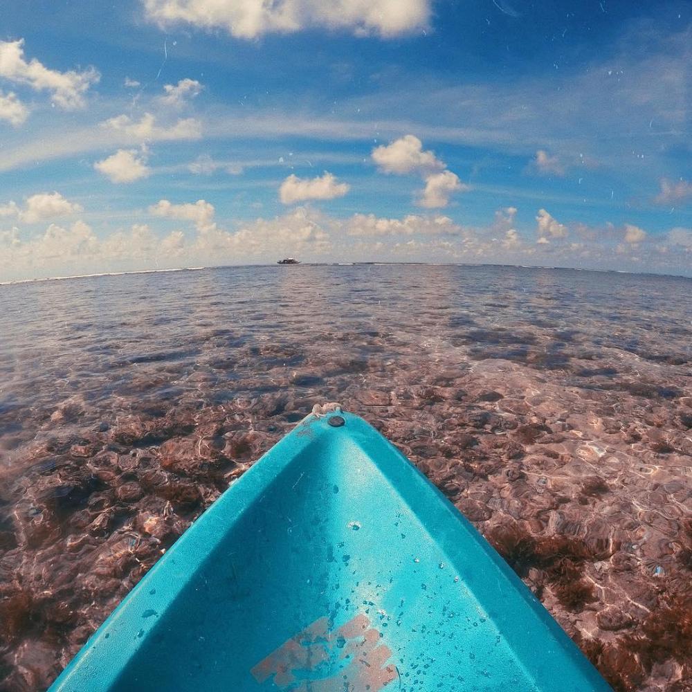 gustavs place silver beach dive resort