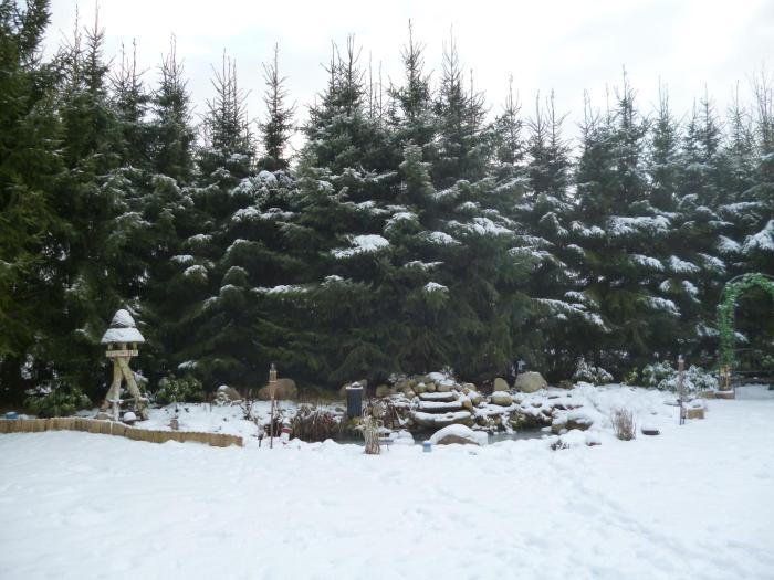 pension hillmers hoff