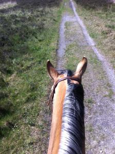 pension hillmers hoff