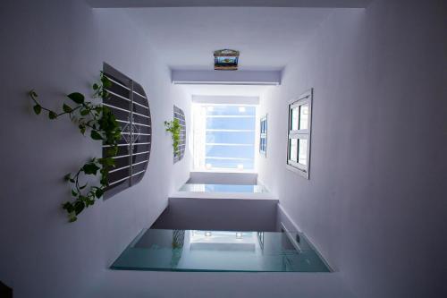 hostal san francisco