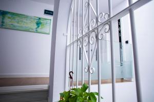 hostal san francisco