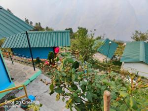 auli eco nature resort