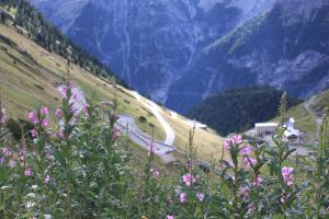 hotel alpina solden adults only