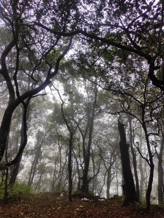 matheran