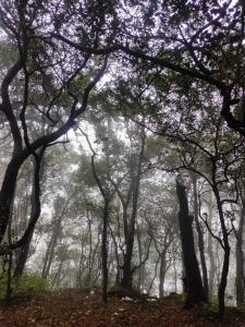 matheran